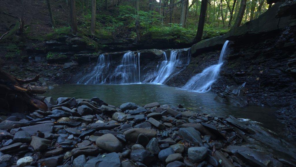 Four Waterfalls at Dawn