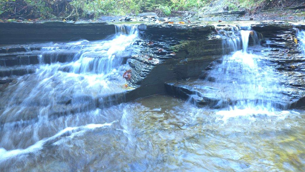 Double Cascade Forest Creek