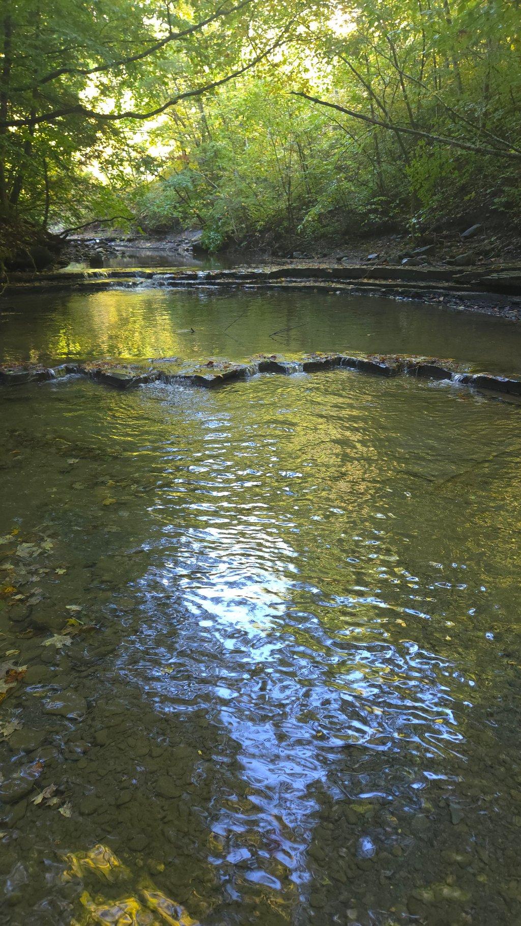 Terraced Forest Creek