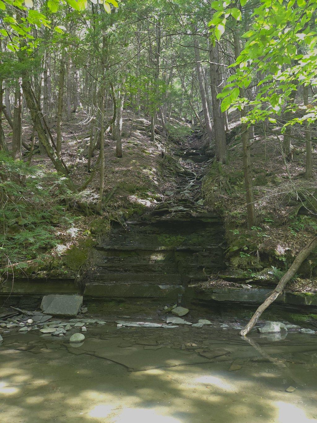 Exposed Rock