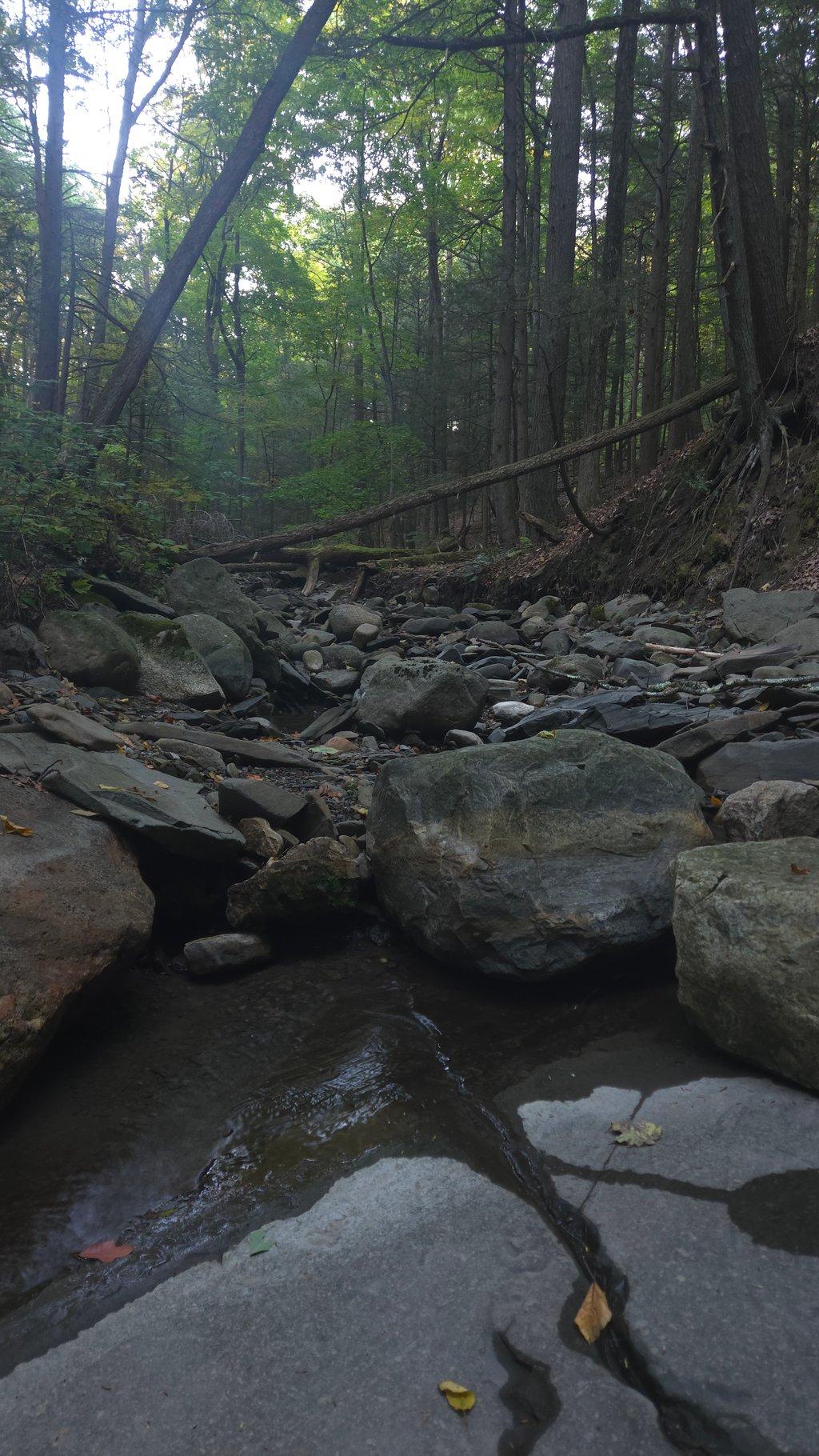 Boulders in Gorge