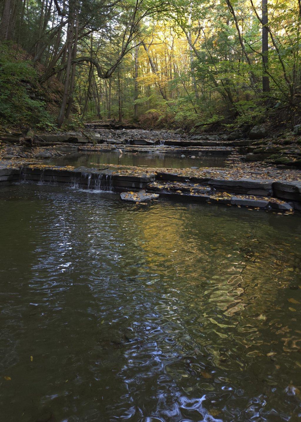 Stepped Forest Creek