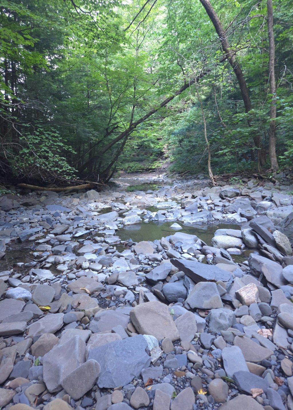 Rocky Creek Bed