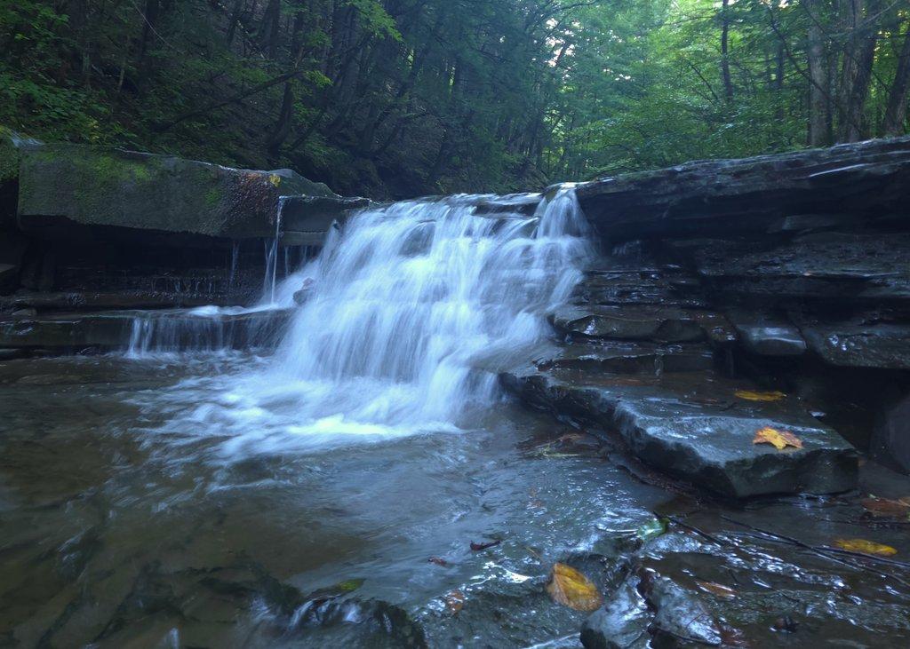 Smooth Forest Waterfall