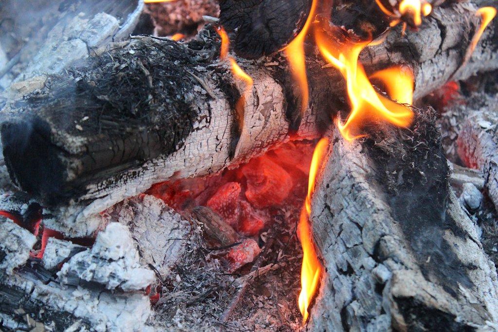 Cozy Flames