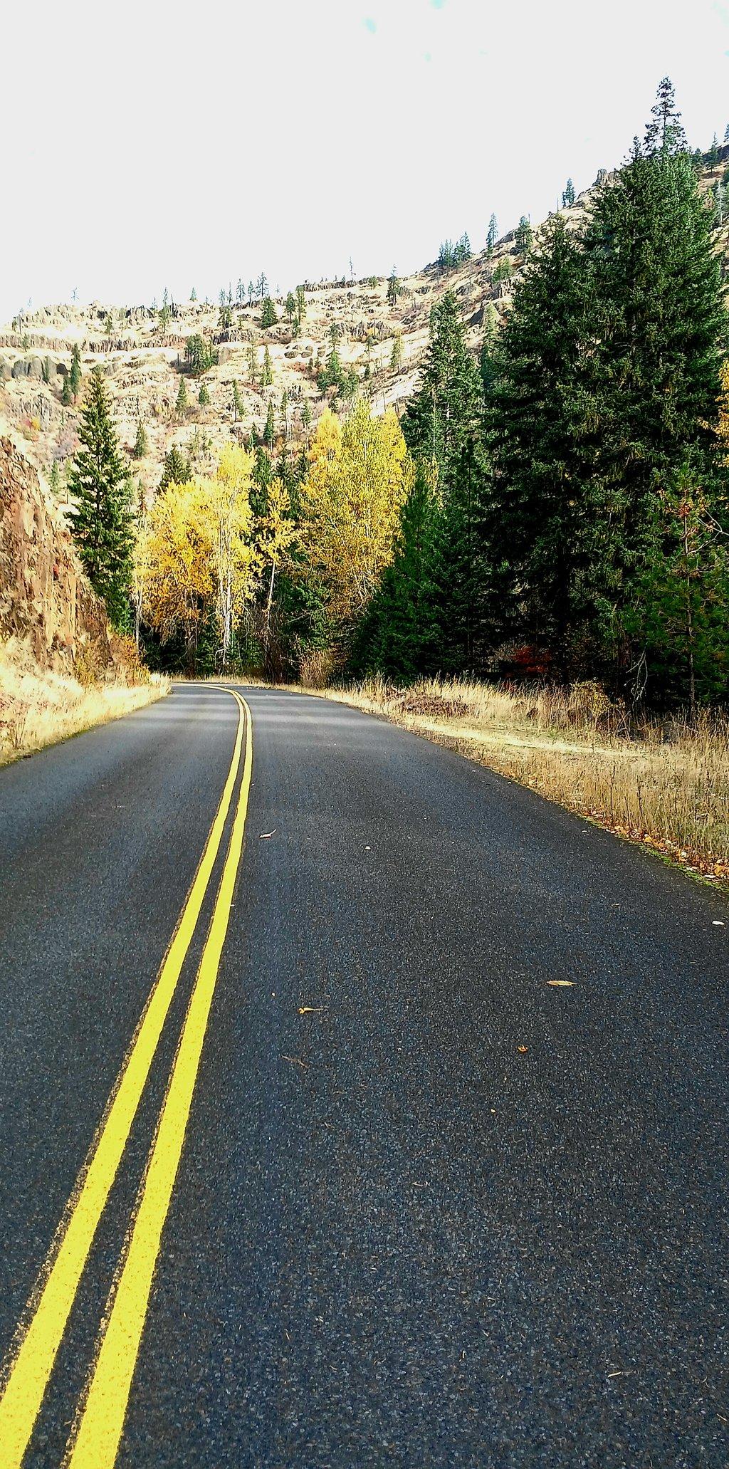 Washington Autumn Road