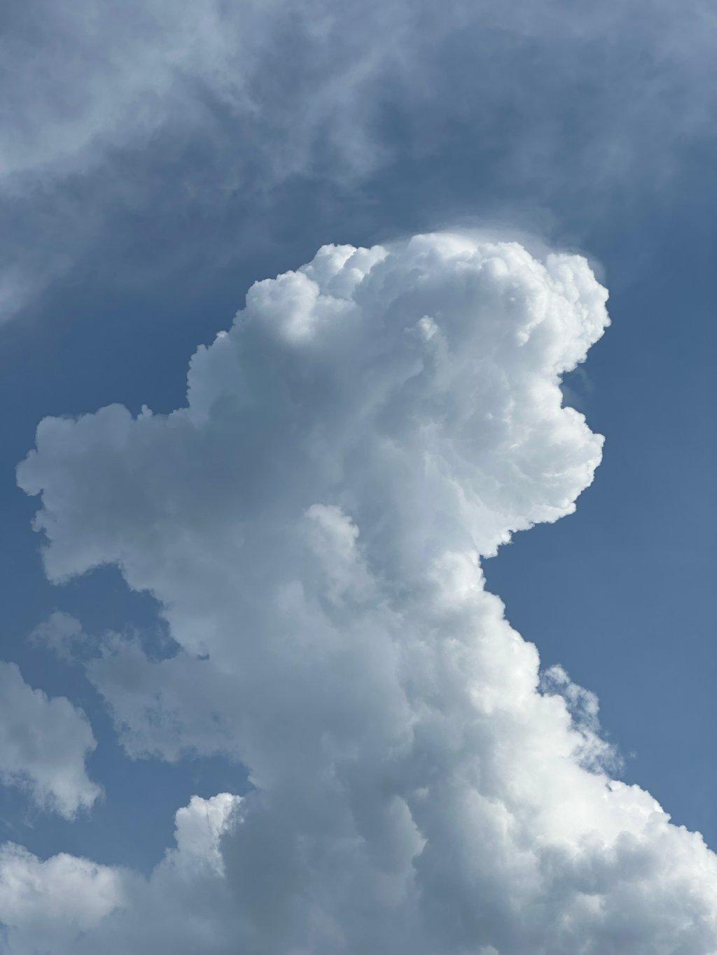 Cloud High