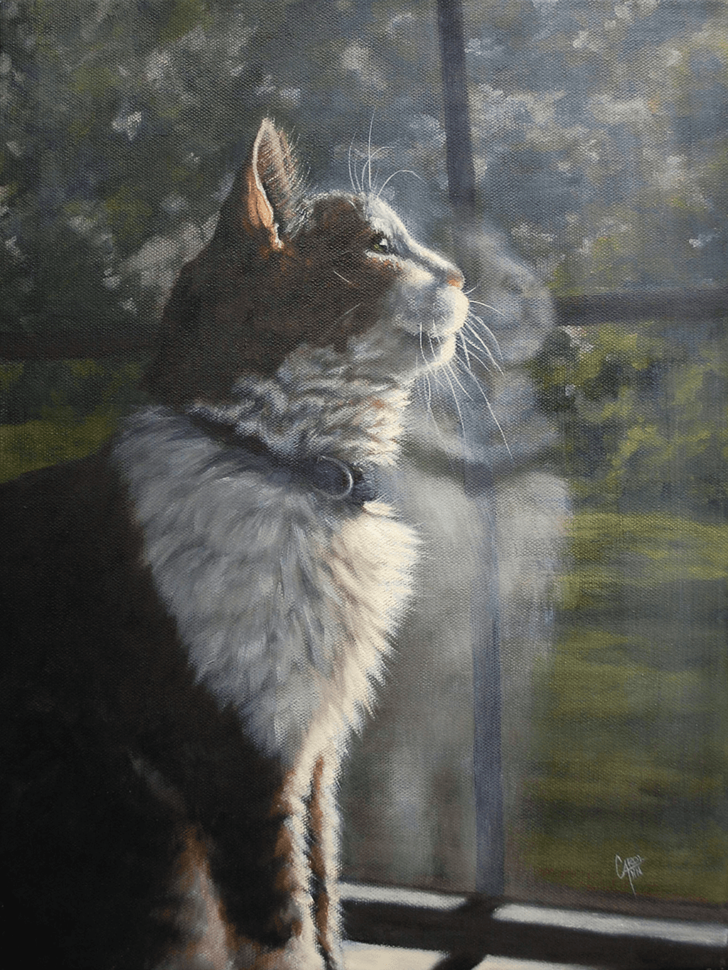 Serene Sunlight