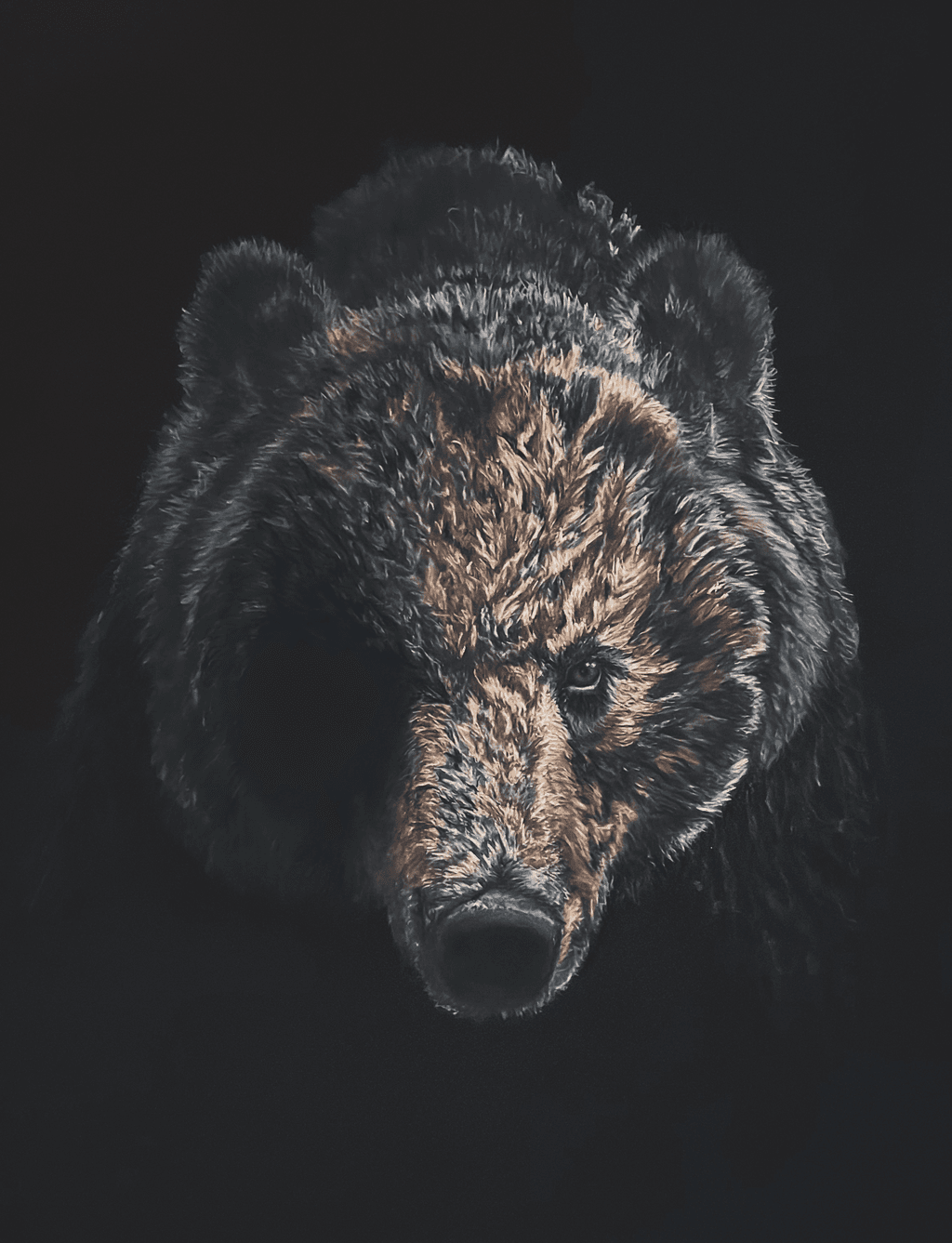 The Guardian